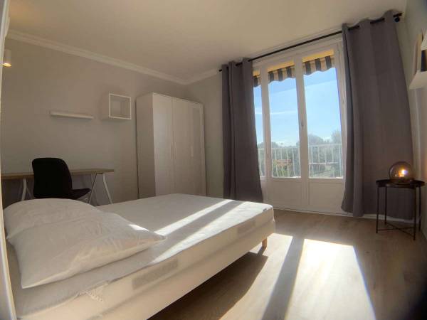 Villeurbanne, Cours Émile-Zola